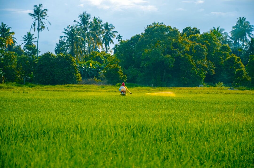 farmer in field