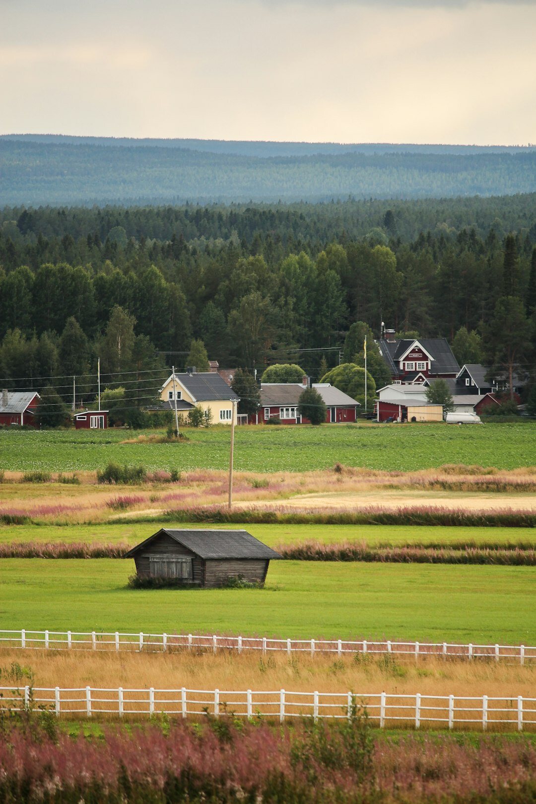 danish village landscape