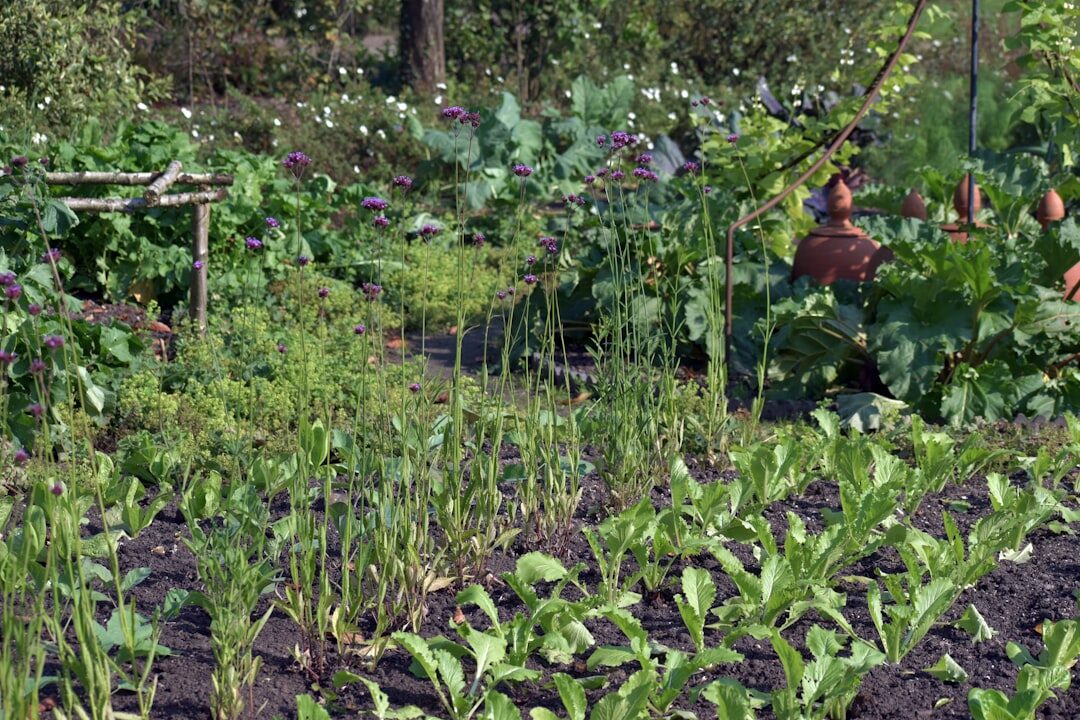 man working in community garden